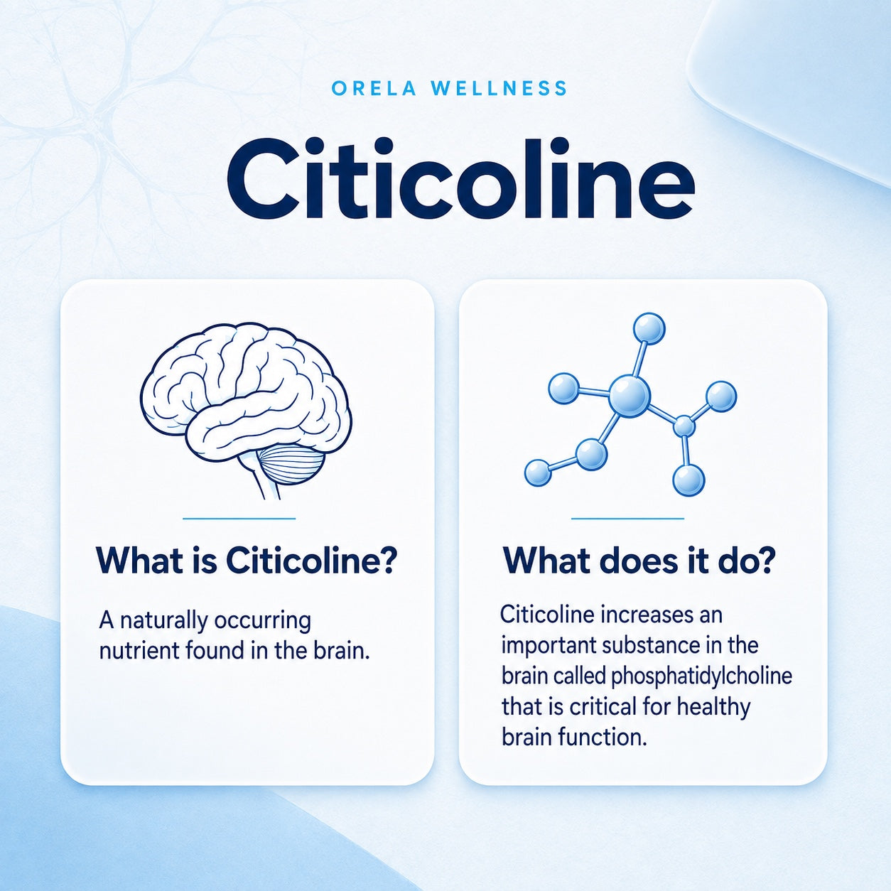 Citicoline educational graphic explaining what Citicoline is and what it does